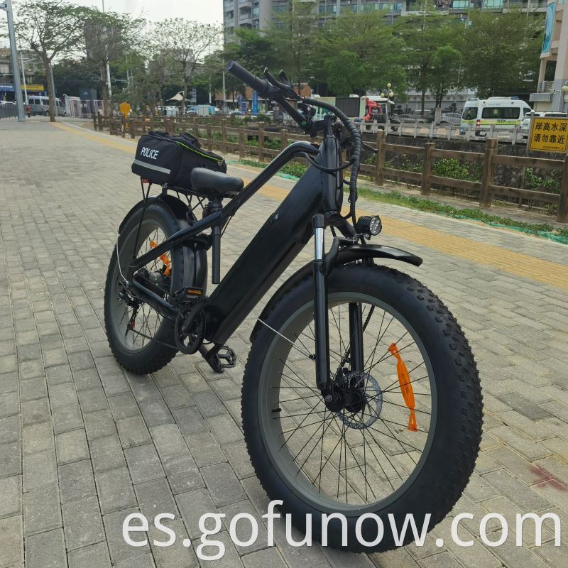 Batería de litio de 750W 48 V Bicicleta eléctrica 26 pulgadas Tarlar de grasa Beach Beach Bike Electric Bike E